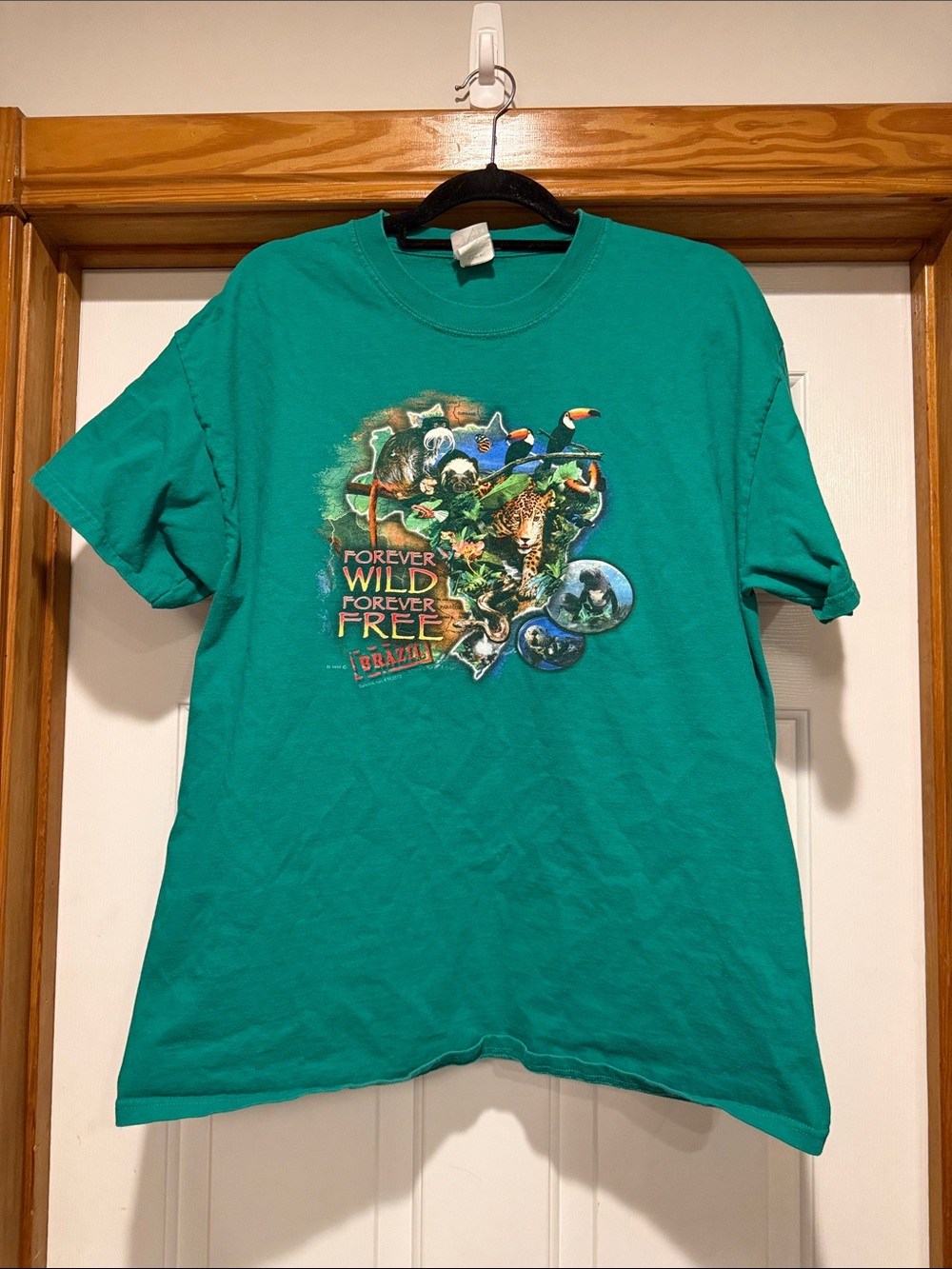 Forever Wild Teal Graphic Short Sleeve Tee